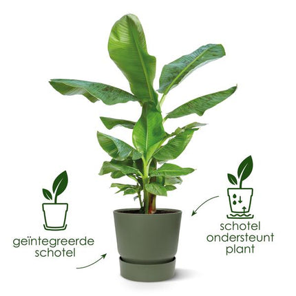 Greenville Pflanztopf Schwarz – D24 x H23 – Moderner Blumentopf für Innen & Außen – Stilvolles Pflanzgefäß – Dekorativer Übertopf für Zimmer- & Gartenpflanzen