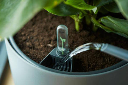 Selbstbewässernder Einsatz für Blumentöpfe – Pflanzeneinsatz mit Wasserreservoir – Ø21cm – für Zimmerpflanzen & Außentöpfe