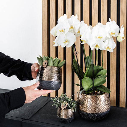 Keramik Blumentopf Kupfer – Pflanztopf Ø12cm – Übertopf glänzend für Zimmerpflanzen, Wohnzimmer, Küche, Büro & Innenräume