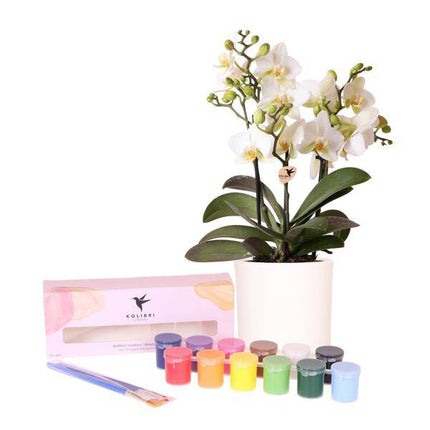 Malset Blumentöpfe bemalen mit Orchideen – DIY Kreativset für 4 Personen – Inklusive 4 weiße Blumentöpfe, 4 Orchideen, 24 Farben & 8 Pinsel – Bastelset für Kinder & Erwachsene