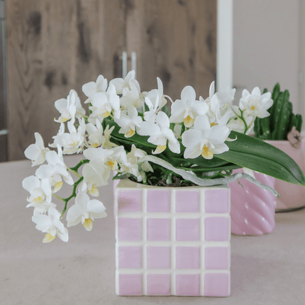 Mosa Ziertopf – Rosa – Ø9cm – Moderner Dekotopf aus der Trendkollektion Colourful Optimism – Stylischer Pflanzentopf für Zimmerpflanzen, Sukkulenten & Kakteen – Wohnaccessoire für kreative Dekoration