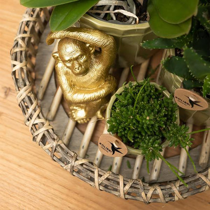 Ornament Dekoskulptur Sitzender Affe – Gold – Handgefertigte Polystone-Figur – 13cm – Verspieltes Dekoaccessoire für Zuhause und Pflanzensets