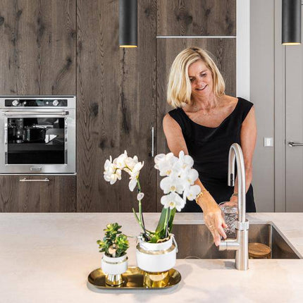Sukkulenten 2er – Set in eleganten Le Chic Keramiktöpfen – Ø9cm – Pflegeleichte Grünpflanzen – Weiß mit goldenen Details – Dekoratives Pflanzen