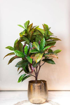 Kunstpflanze Croton Codiaeum – Wunderstrauch – 120cm – Hochwertige künstliche Pflanze mit bunt gefärbten Blättern & Holzstamm – Immergrüne Dekopflanze für Wohnzimmer, Büro & Innenräume – Pflegefrei & langlebig