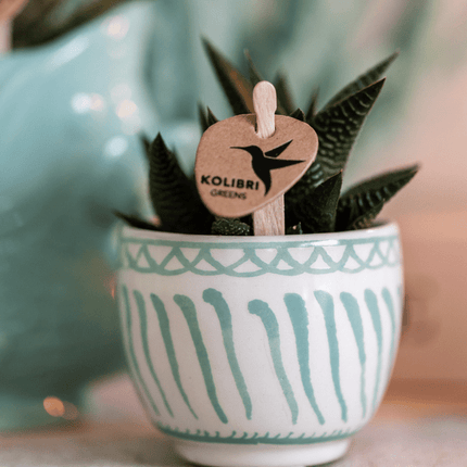 Topf Granada – Türkis – Ø6cm – Blumentopf aus glasierter Keramik im mediterranen Stil – Pflanzgefäß für Zimmerpflanzen, Sukkulenten & Kräuter