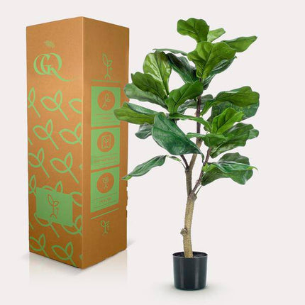 Kunstpflanze Ficus Lyrata – Geigen-Feige – 90cm – Hochwertige künstliche Pflanze mit großen naturgetreuen Blättern – Immergrüne Dekopflanze für Wohnzimmer, Büro & Innenräume – Pflegefrei & langlebig