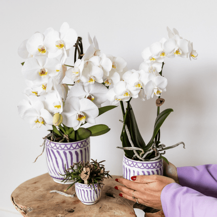 Topf Granada – Flieder – Ø6cm – Dekorativer Blumentopf aus glasierter Keramik – Mediterraner Stil – Pflanzgefäß für Zimmerpflanzen, Sukkulenten & Deko