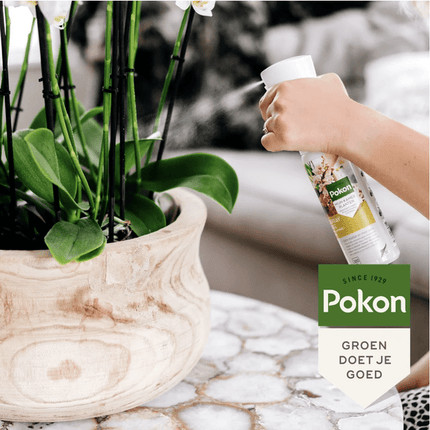 Pokon Powerspray Orchidee – Blattglanz-Spray – 300ml – Für gesunde, glänzende Orchideenblätter – Einfach anzuwenden – Für mehr Vitalität & Schutz