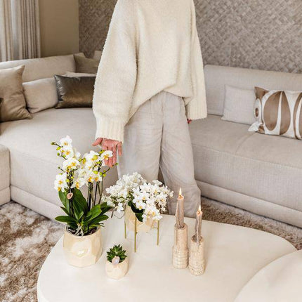 Pearl Blumentopf glänzend in Blau, Grün, Rosa oder Travertin – Eleganter Übertopf Ø6cm Ø9cm Ø12cm – Pflanzgefäß für Zimmerpflanzen & Deko