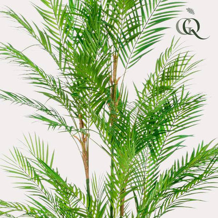 Kunstpflanze Chamaedorea Elegans ↕180cm – künstliche Grünpflanze für Wohnzimmer, Büro, Flur & pflegeleichte Deko
