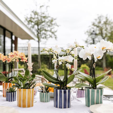 Topf Gemalter Streifen – Türkis – Ø9cm – Mediterraner Keramik Blumentopf mit Streifenmuster – Übertopf aus der Mediterranean Sunset Kollektion