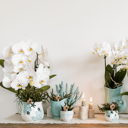 Topf Granada – Türkis – Ø6cm – Blumentopf aus glasierter Keramik im mediterranen Stil – Pflanzgefäß für Zimmerpflanzen, Sukkulenten & Kräuter