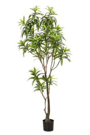 Kunstpflanze Dracaena ↕190cm – künstliche Grünpflanze für Wohnzimmer, Büro, Flur & pflegeleichte Deko