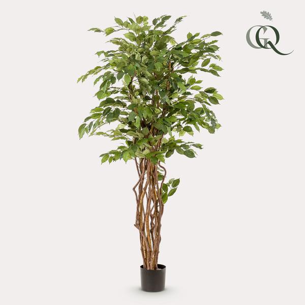 Ficus Liana – Künstliche Zimmerpflanze – ↕170cm – Realistische Stiefmütterchen – Pflanze – Dekoration für Wohnzimmer, Flur & Wintergarten
