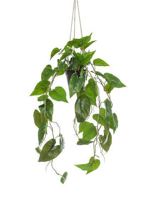 Kunstpflanze Philodendron Hängepflanze – 80cm Länge – Realistische künstliche Zimmerpflanze – Immergrün & pflegeleicht – Für Wohnzimmer, Büro & Dekoration