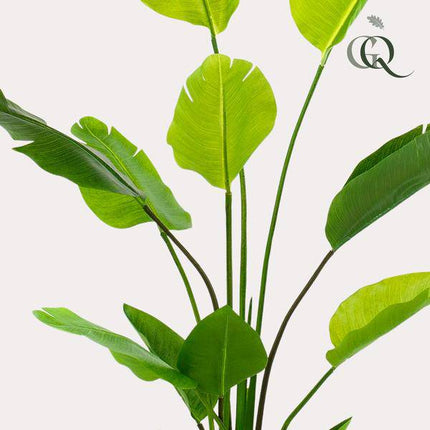 Kunstpflanze Strelitzia Nicolai – Paradiesvogelblume – 150cm – Hochwertige künstliche Pflanze mit großen naturgetreuen Blättern – Immergrüne Dekopflanze für Wohnzimmer, Büro & Innenräume – Pflegefrei & langlebig