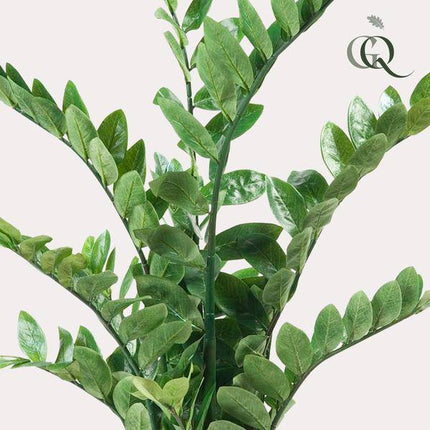 Kunstpflanze Zamioculcas – Zimmerpalme – 110cm – Hochwertige künstliche Pflanze mit naturgetreuen ovalen Blättern – Immergrüne Dekopflanze für Wohnzimmer, Büro & Flur – Pflegefrei & langlebig
