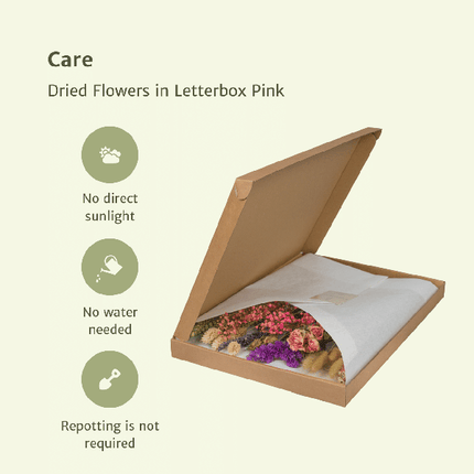 Trockenblumen im Briefkasten Rosa – Eleganter getrockneter Blumenstrauß – Sanfte Weiß-, Beige- & Hellrosa-Töne – Pflegefreie Deko – Perfekt für Innenräume