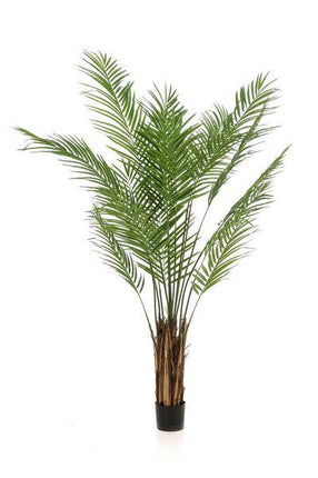 Kunstpflanze Areca Lutescens – Goldpalme – 180cm – Hochwertige künstliche Palme mit naturgetreuen Fiederblättern – Immergrüne Dekopflanze für Wohnzimmer, Büro & Innenräume – Pflegefrei & langlebig