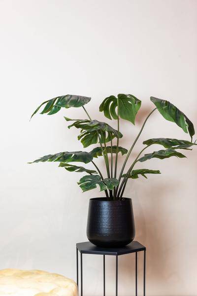 Kunstpflanze Monstera Deliciosa – Löcherpflanze – 95cm – Hochwertige künstliche Pflanze mit großen naturgetreuen Blättern – Immergrüne Dekopflanze für Wohnzimmer, Büro & Innenräume – Pflegefrei & haustiersicher