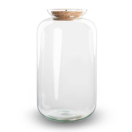 Flaschengarten Terrarium Flasche + LED in Kork ↕43cm – pflegeleichter Flaschengarten im Glas, Pflanzen Terrarium für Wohnzimmer & Büro
