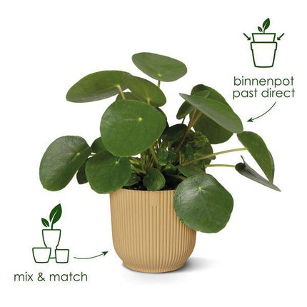 Vibes Fold Pflanztopf Blau – D30xH27 – Moderner Blumentopf mit Rillenmuster – Indoor Deko-Topf mit Wasserablauf – Stilvoller Pflanzkübel für Wohnzimmer, Büro & Wintergarten