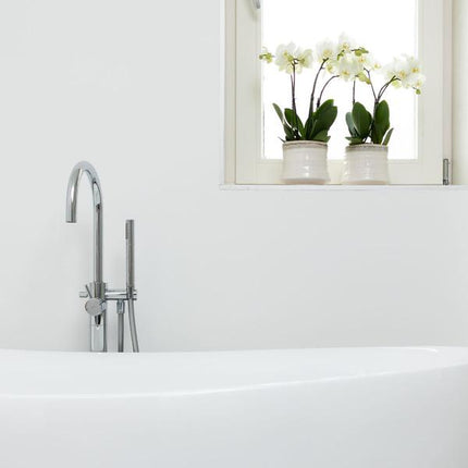 Weiße Phalaenopsis Orchidee Juwel Gent – Blühende Zimmerpflanze – Ø12cm – Elegante weiße Blüten – Perfekt für Zuhause & Büro