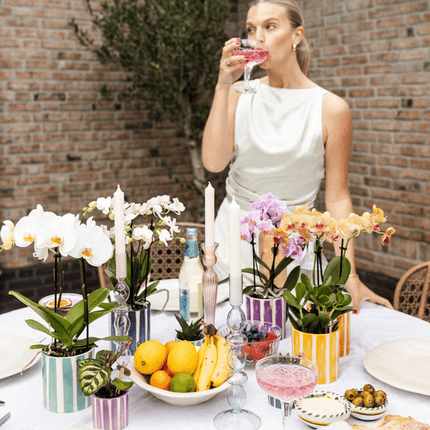 Phalaenopsis Orchidee Vienna – Lila – inkl. Painted Stripe Topf Lilac Ø9cm – Blühende Zimmerpflanze mit 2–3 Stielen – Edle Deko-Orchidee für Wohnzimmer, Schlafzimmer & Büro – Perfektes Geschenk im Design-Topf