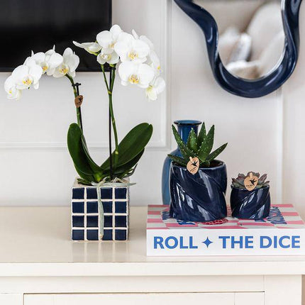 Dekotopf Candy – Blau – Ø6cm – Farbiger Keramik Blumentopf in glänzender Optik – Runde Form – Für Mini-Pflanzen & Orchideen