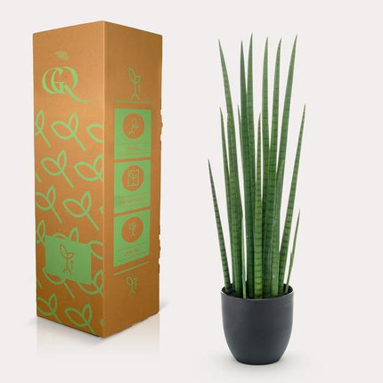 Kunstpflanze Sansevieria Cylindrica – Frauenzunge 70cm – Täuschend echt & pflegefrei – Dekorative Kunst-Zimmerpflanze für Wohnung & Büro – Nachhaltig & langlebig