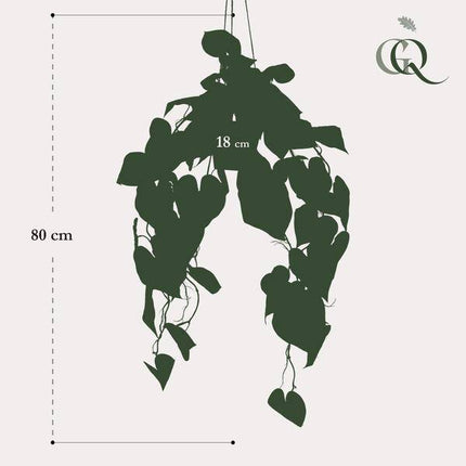 Kunstpflanze Anthurium Clarinervium – Aderpflanze – 80cm – Hochwertige künstliche Hängepflanze mit herzförmigen Blättern & weißen Blattadern – Dekopflanze im Hängekorb für Wohnzimmer, Büro & Innenräume – Pflegefrei & langlebig