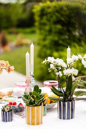 Sukkulenten Mix – 6 Sukkulenten – Zimmerpflanzen in bemalten Stripe Ziertöpfen Ø9cm & Ø6cm – Bunte Pflanzendeko für Tisch, Wohnzimmer & Büro