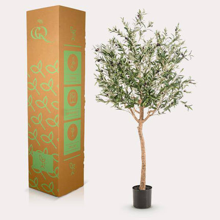 Kunstpflanze Olivenbaum – Olea Europaea – 180cm – Hochwertiger künstlicher Baum mit naturgetreuen Blättern & Oliven – Immergrüne Dekopflanze für Wohnzimmer, Wintergarten & Büro – Pflegefrei & langlebig
