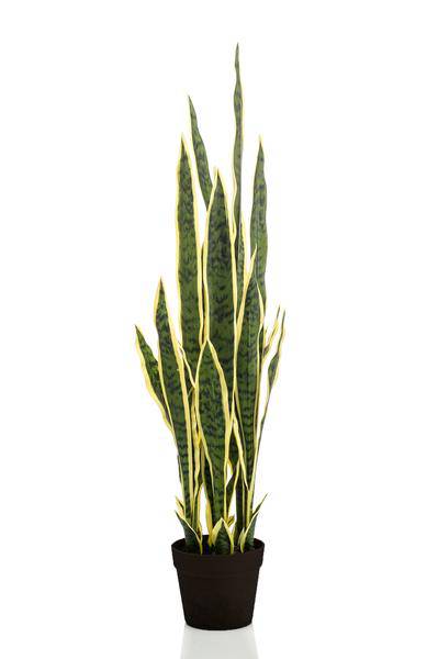 Kunstpflanze Sansevieria Trifasciata – Frauenzunge 97cm – Täuschend echt & pflegefrei – Zeitloser Klassiker für Wohnung & Büro – Dekorative Kunst-Zimmerpflanze