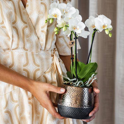 Blumentopf Elite Kupfer – Ø9cm – Moderner Keramik Übertopf – Dekorativer Pflanztopf für kleine bis mittelgroße Zimmerpflanzen – Stilvolle Innendeko