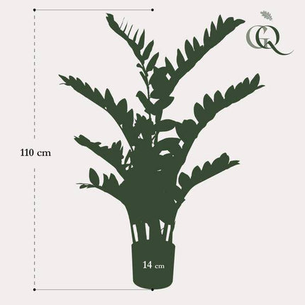 Kunstpflanze Zamioculcas – Zimmerpalme – 110cm – Hochwertige künstliche Pflanze mit naturgetreuen ovalen Blättern – Immergrüne Dekopflanze für Wohnzimmer, Büro & Flur – Pflegefrei & langlebig