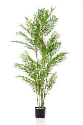 Kunstpflanze Chamaedorea Elegans ↕180cm – künstliche Grünpflanze für Wohnzimmer, Büro, Flur & pflegeleichte Deko