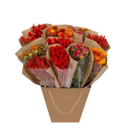 Getrocknete Blumen – Mono Mix – Orange – ↕50cm – Handgebundener Strauß – Langlebig & pflegeleicht – Dekoration & Geschenkidee