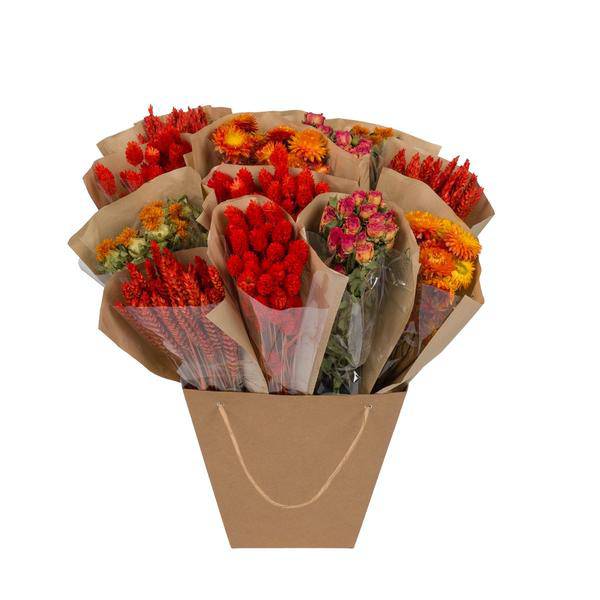 Getrocknete Blumen – Mono Mix – Orange – ↕50cm – Handgebundener Strauß – Langlebig & pflegeleicht – Dekoration & Geschenkidee