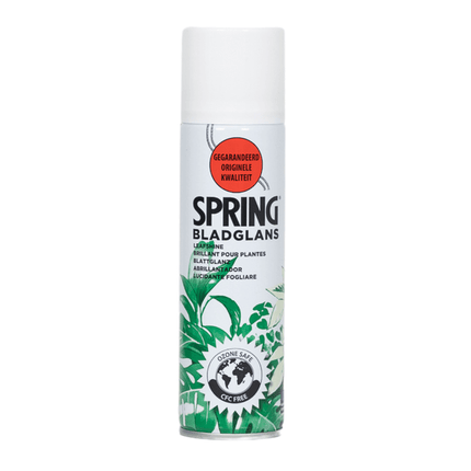 Blattglanz Spray – 750ml – Pflegespray für Zimmer – & Zierpflanzen – Entfernt Staub & Wasserflecken – Für glänzende, gesunde & frische Blätter