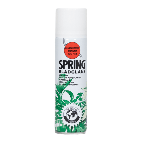 Blattglanz Spray – 750ml – Pflegespray für Zimmer – & Zierpflanzen – Entfernt Staub & Wasserflecken – Für glänzende, gesunde & frische Blätter