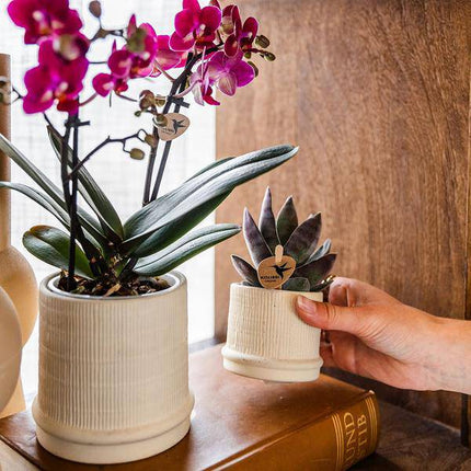 Bali Blumentopf Off White Ø9cm – Dekorativer Keramiktopf mit Rillenstruktur – Moderner Pflanzentopf im minimalistischen Design – Stilvolle Blumendeko für Wohnzimmer, Küche & Büro