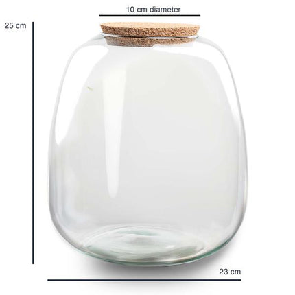 Terrarium Flasche Emma – Glasflasche 25x23cm – Dekoglas für Pflanzenterrarium, Flaschengarten & kreative Bepflanzungen – Deko