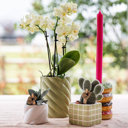 Dekotopf Candy – Weiß – Ø6cm – Keramik Blumentopf in glänzender Optik – Runde Form – Für Mini – Orchideen, Sukkulenten & Zimmerpflanzen