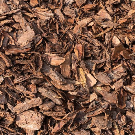 Premium Baumrinde 30-40mm Culvita Französische Seekiefer – hochwertiges Produkt für Pflanzen, Garten, Zuhause, Dekoration & moderne Einrichtung