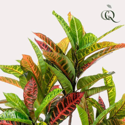Kunstpflanze Croton Codiaeum – Wunderstrauch – 95cm – Hochwertige künstliche Pflanze mit bunt gefärbten Blättern & Holzstamm – Immergrüne Dekopflanze für Wohnzimmer, Büro & Innenräume – Pflegefrei & langlebig