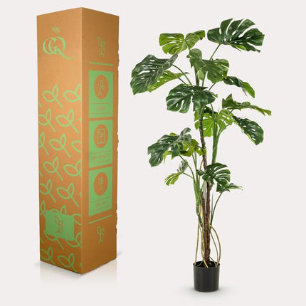 Kunstpflanze Monstera – Fensterblatt – ca. 180cm hoch – Realistische künstliche Zimmerpflanze mit großen Blättern – Dekopflanze für Wohnzimmer, Büro & Wintergarten