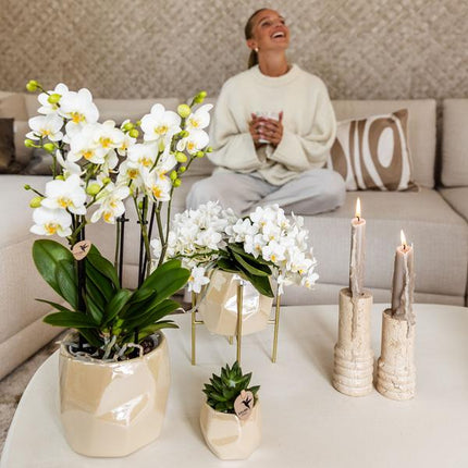 Pearl Blumentopf glänzend in Blau, Grün, Rosa oder Travertin – Eleganter Übertopf Ø6cm Ø9cm Ø12cm – Pflanzgefäß für Zimmerpflanzen & Deko