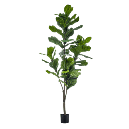 Kunstpflanze Ficus Lyrata – Geigen-Feige – 150 cm – Pflegeleicht & realistisch – Perfekt für Wohnzimmer & Büro