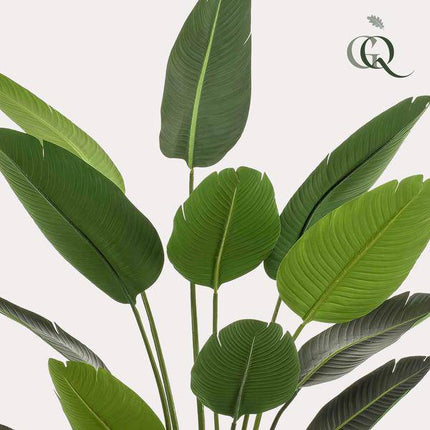 Kunstpflanze Strelitzia Nicolai – Paradiesvogelblume – 190cm – Hochwertige künstliche Pflanze mit großen naturgetreuen Blättern – Immergrüne Dekopflanze für Wohnzimmer, Büro & Innenräume – Pflegefrei & langlebig